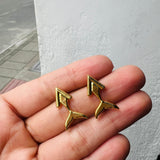 Topos pez flecha