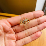 Anillo Mountain Dorado