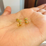 Topos Gato Dorado