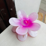 Caiman Tropical Rosa