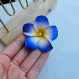 Pinza Hawaina purpura