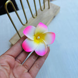 Pinza Hawaiana rosa