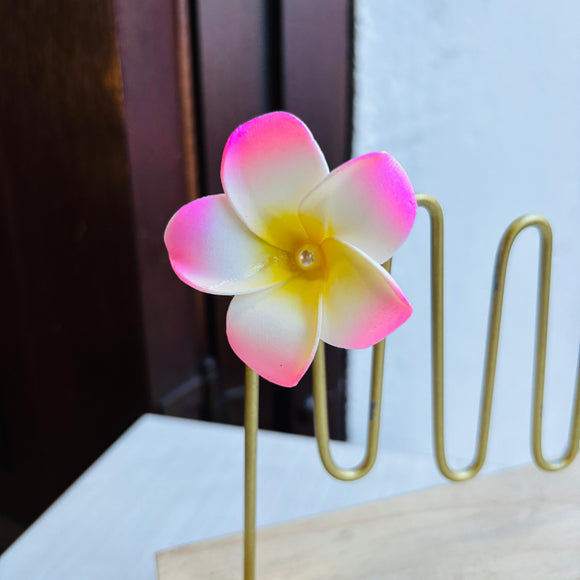 Pinza Hawaiana rosa