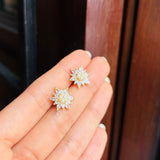 Topos Mandala Glam