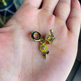 Charm Flor y regadera