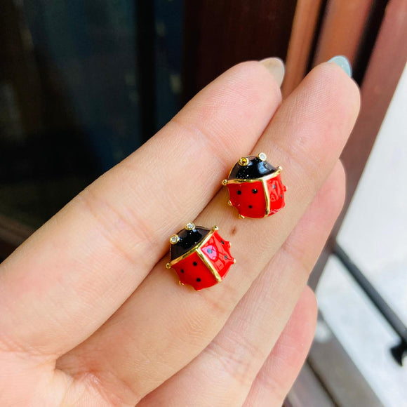 Topos mariquita de suerte