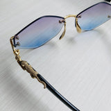 Gafas CTP162D