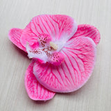 Pinza Orquidea Rosa