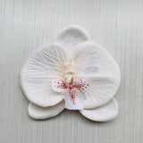 Pinza Orquidea Blanco