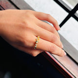Anillo Polaris