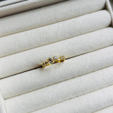 Anillo Polaris