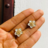 Topos Magnolia Blanca