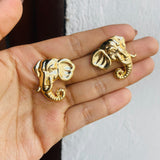 Topos Elefante