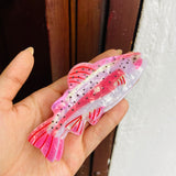 Caiman Sardina Rosa