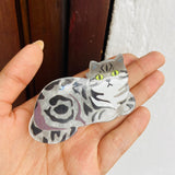 Caiman Gato Persa