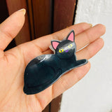 Caiman Gato Negro
