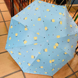 Sombrilla manual cute bear azul