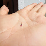 Piercing Puntico Para La Nariz