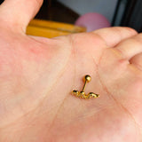 Piercing lujo Serpiente
