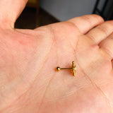 Piercing lujo Polar
