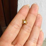 Piercing lujo Polar