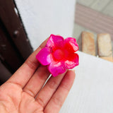 Caimán mini girasol Rosa