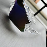 Gafas COXTV-335