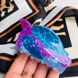 Caiman tortuga