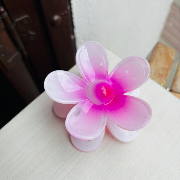 Caiman Tropical Rosa