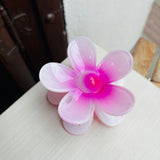 Caiman Tropical Rosa